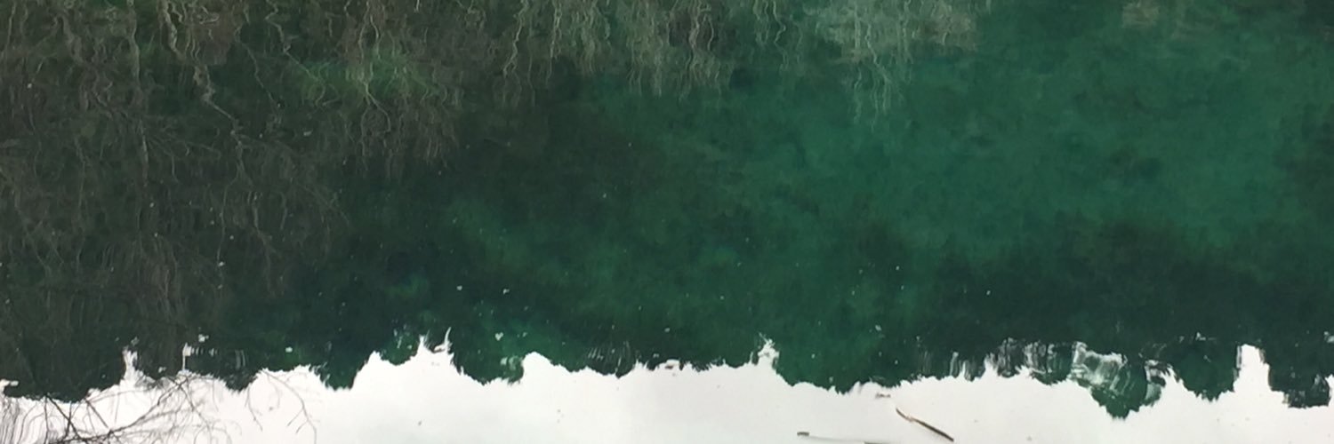 Cesar_AL6P's profile banner image