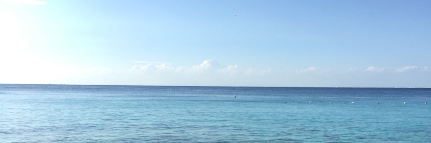 adolfohaid's profile banner image