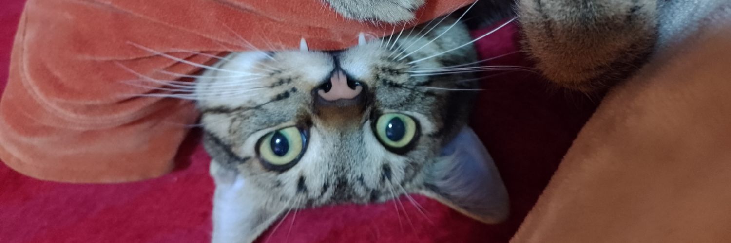 Aletso3's profile banner image