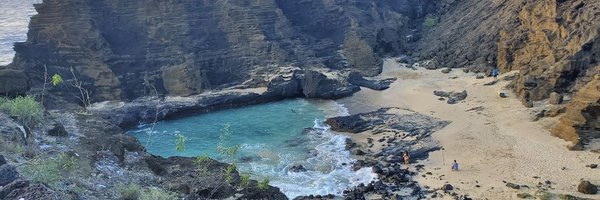 MichaelMinutel4 Profile Banner