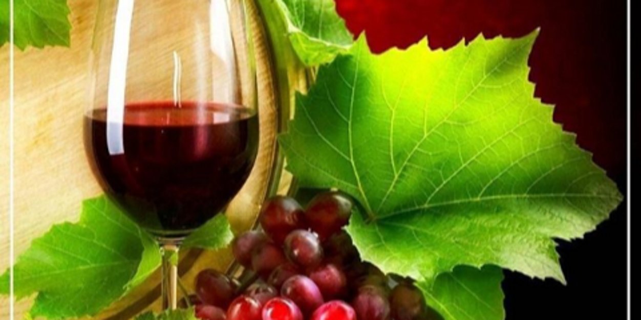 mariavnl's profile banner image