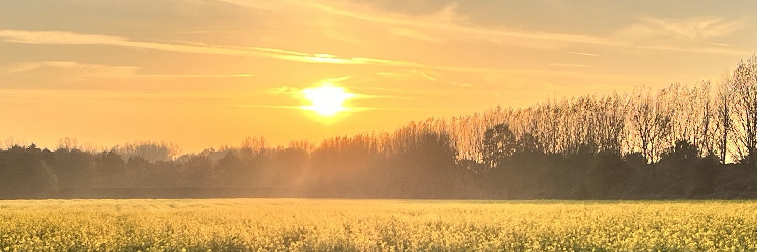 AnnetteGralke's profile banner image