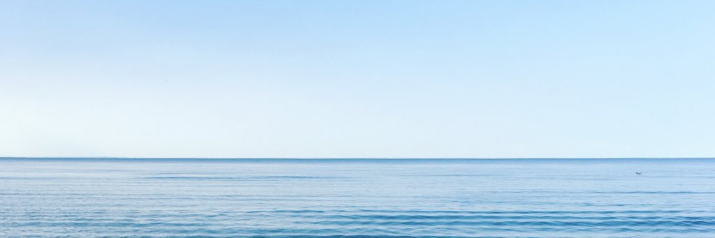 neliilein's profile banner image