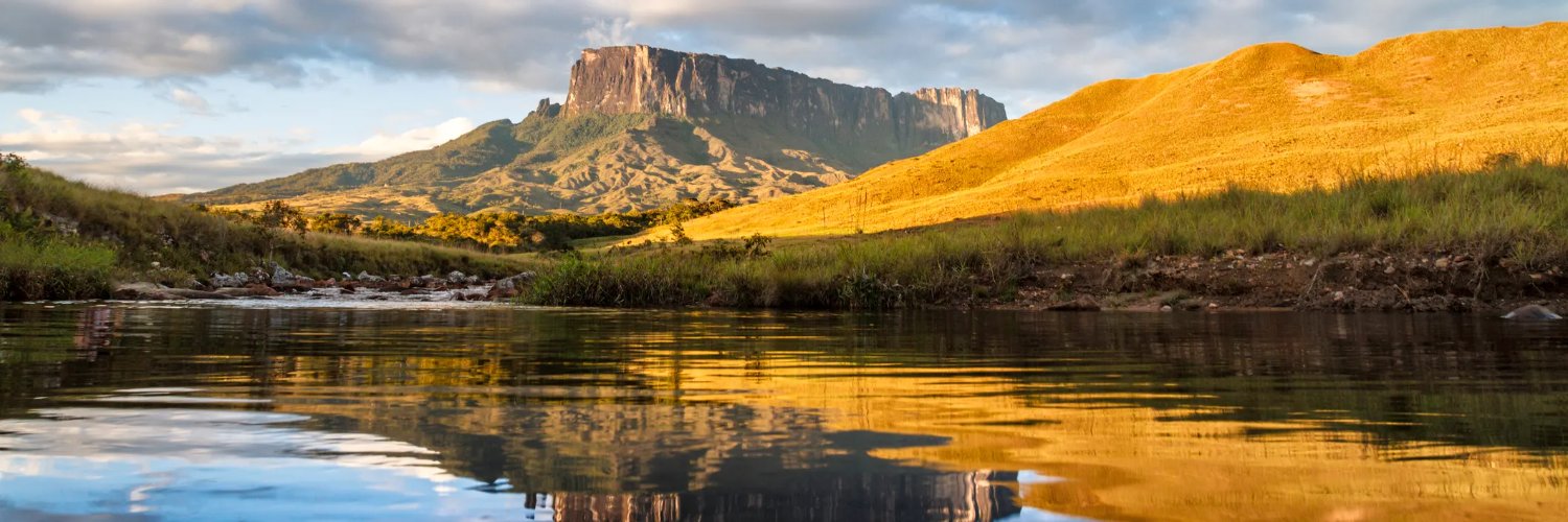 David García V. banner