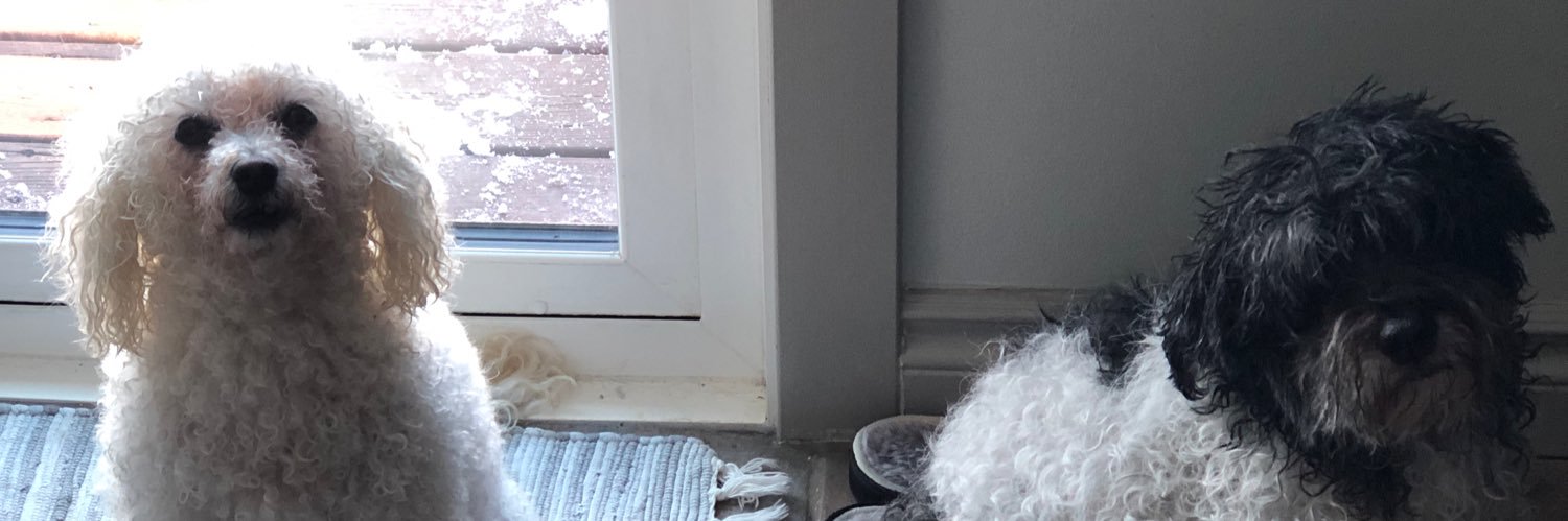 RosieHMA's profile banner image