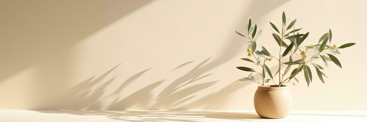 donalili84's profile banner image