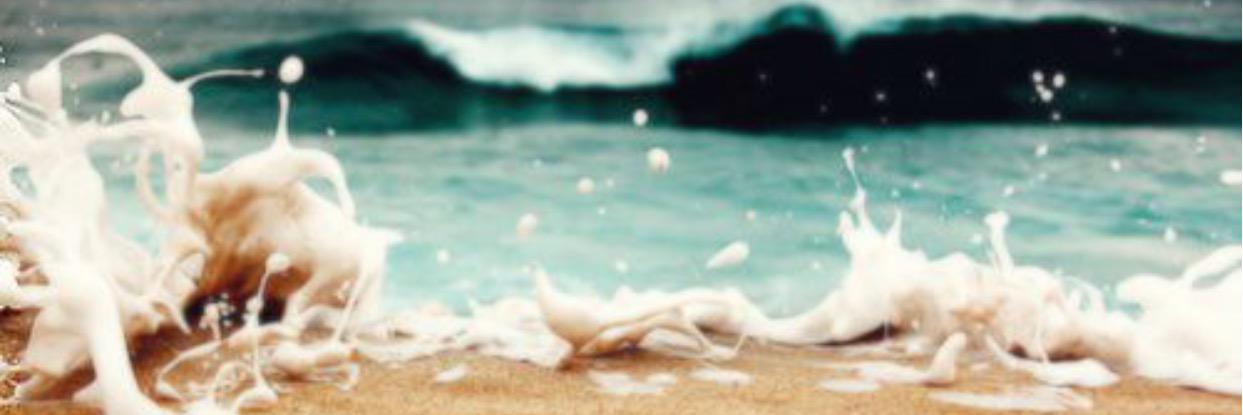 Domonique Stephan banner