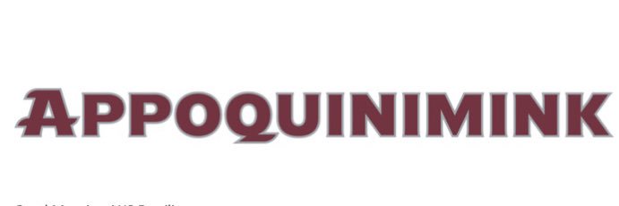Appoquinimink HS banner