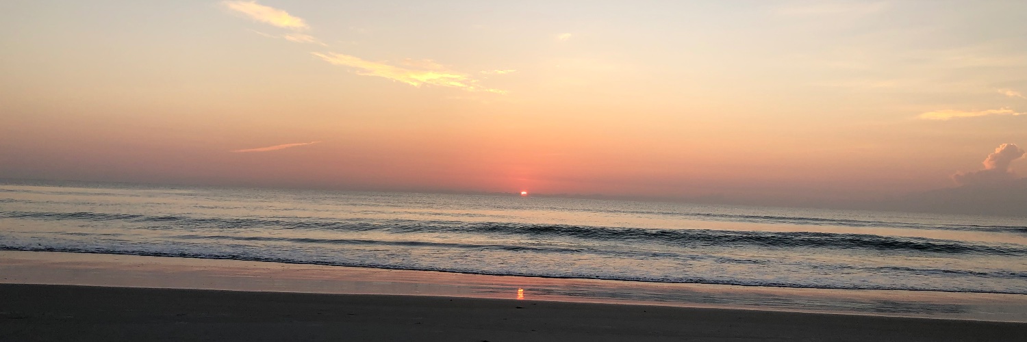 curly shrly 🩵✨🩵 banner