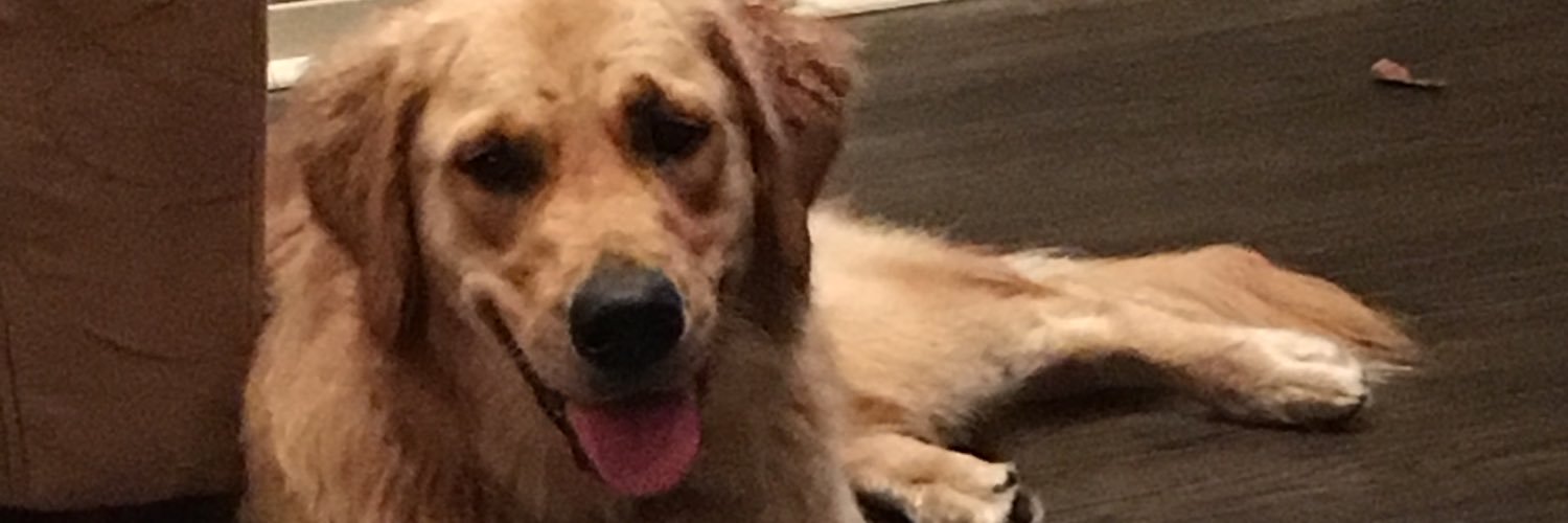 missmolnar1994's profile banner image