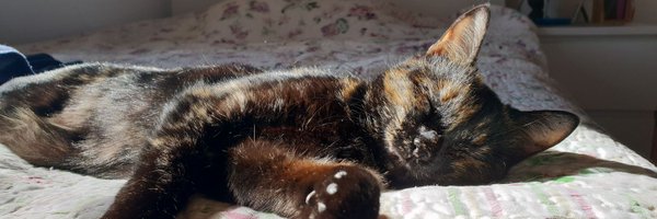 sahargoldel Profile Banner