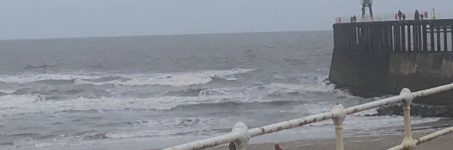 Tracey Marshall banner