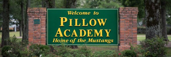 Pillow Academy Profile Banner