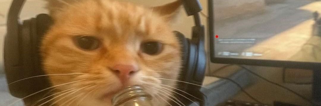 THEREALMOBBIE's profile banner image