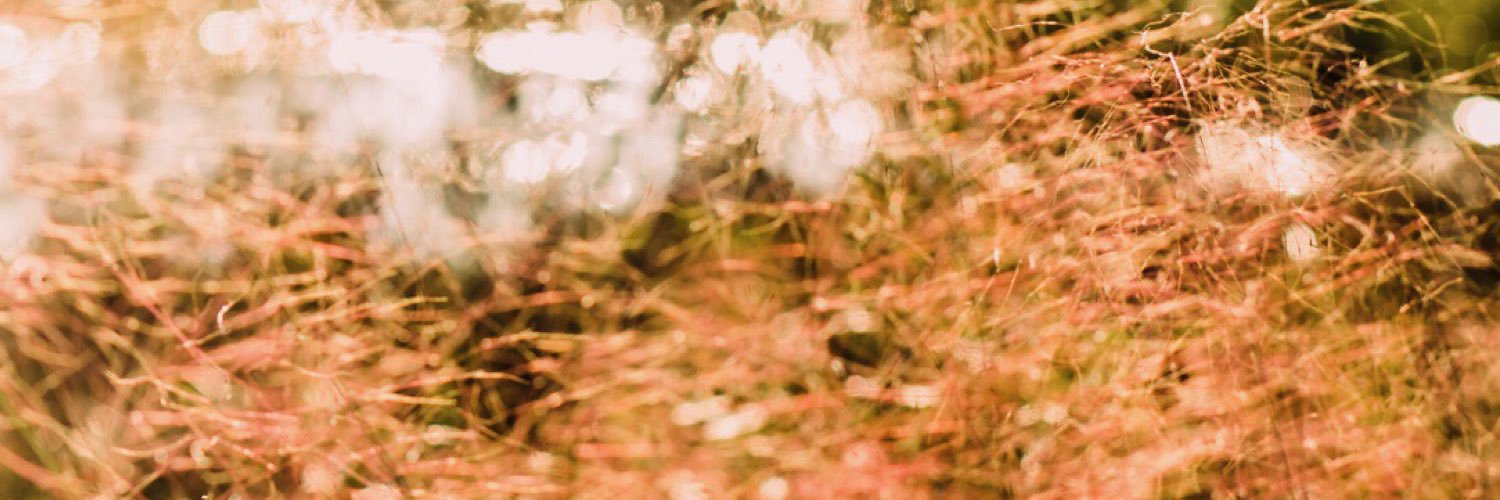 KalaWhite3's profile banner image