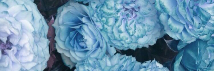 KelseyBroad's profile banner image