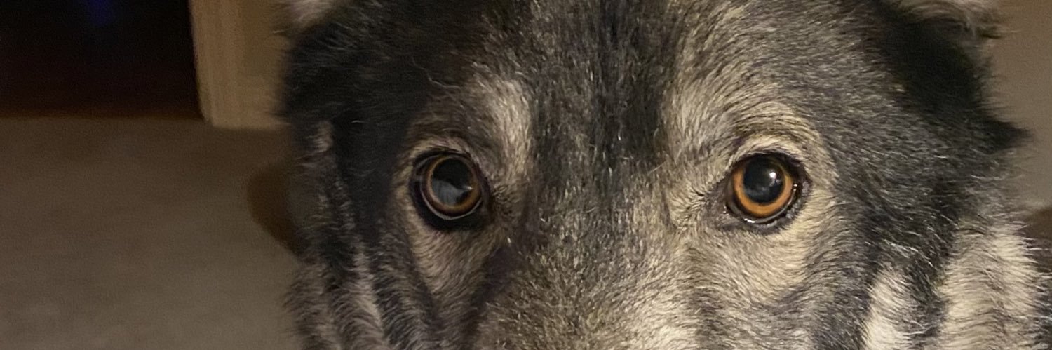 please think responsibly! banner