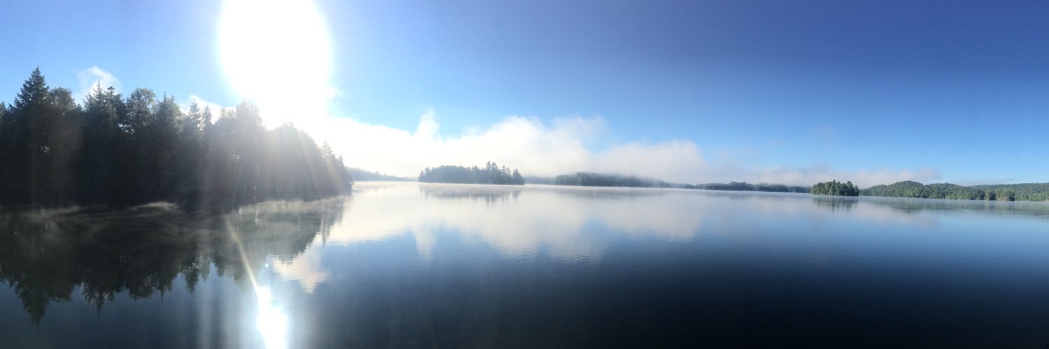 Aleksandr Bulkin banner