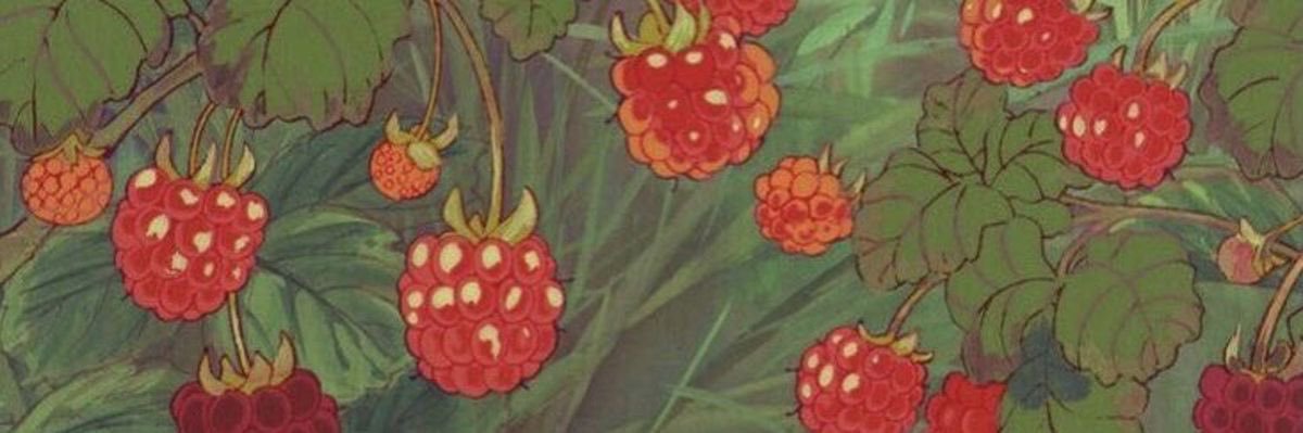 ౨ৎ banner