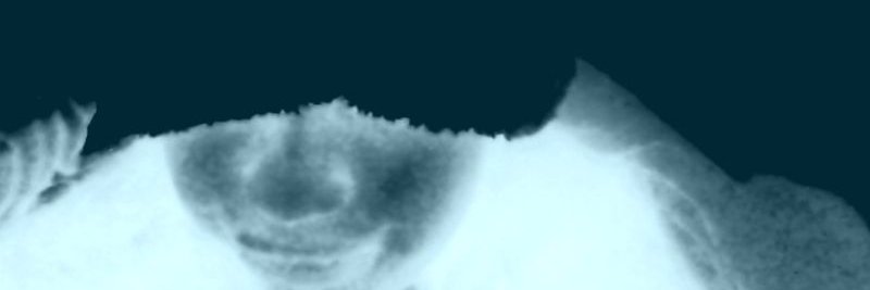 ElizabethNeko12's profile banner image