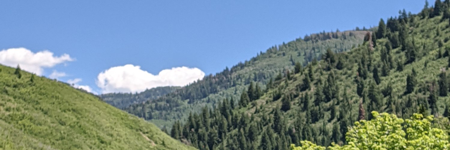 J. Bystrynski banner