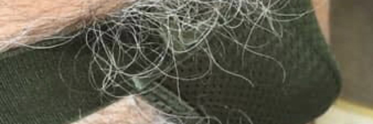 MikeInDenver1's profile banner image
