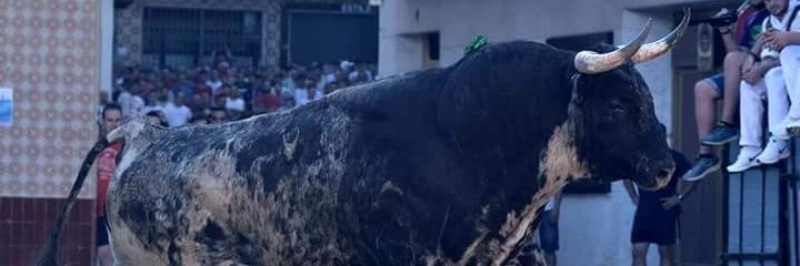 Ivan Mora Sauri banner