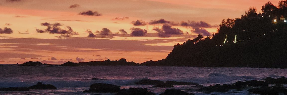 natasha schuet banner