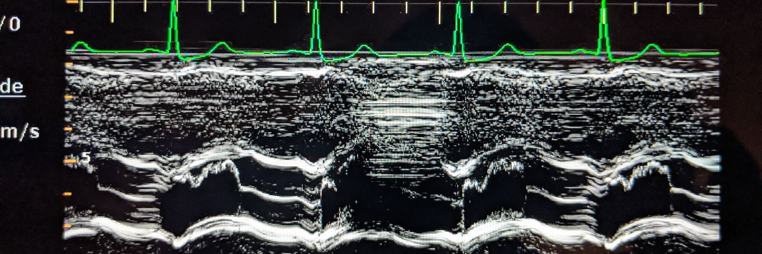 Matthew J. Chung banner