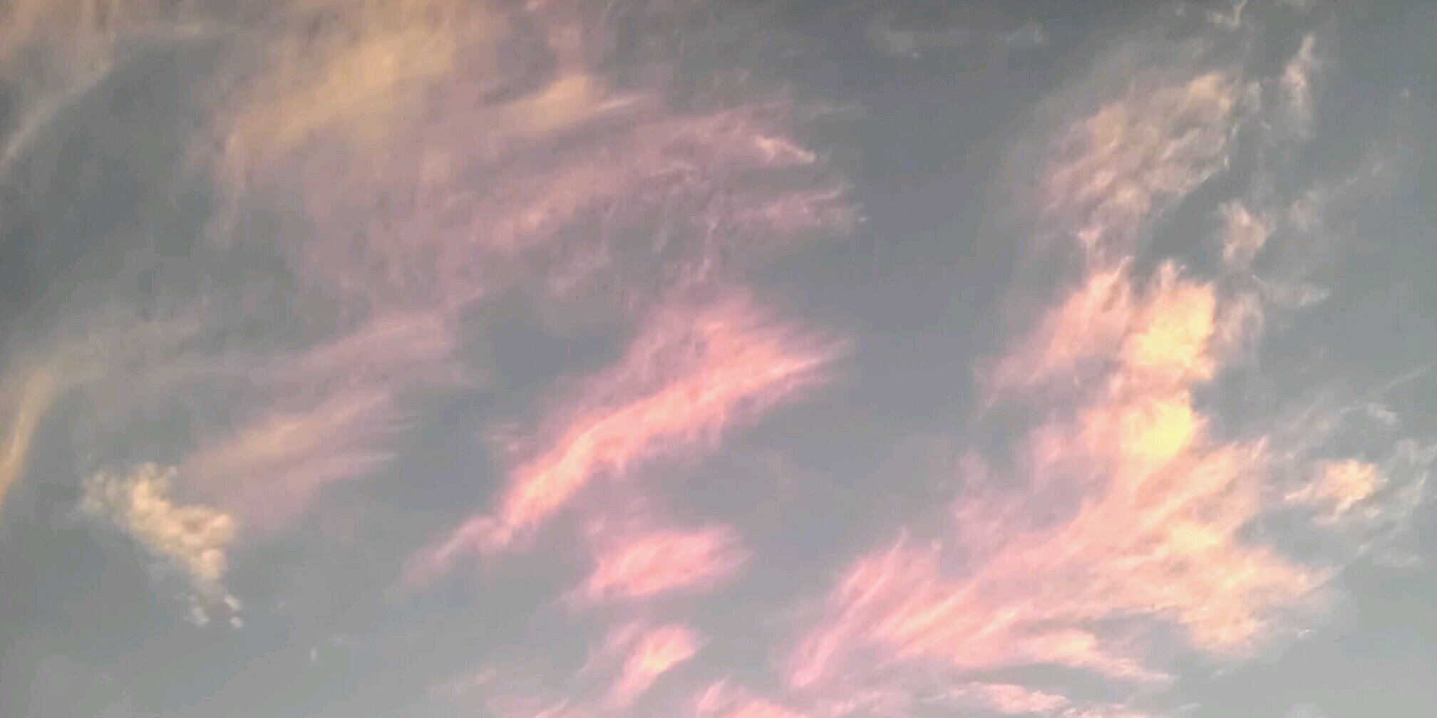 doelke's profile banner image