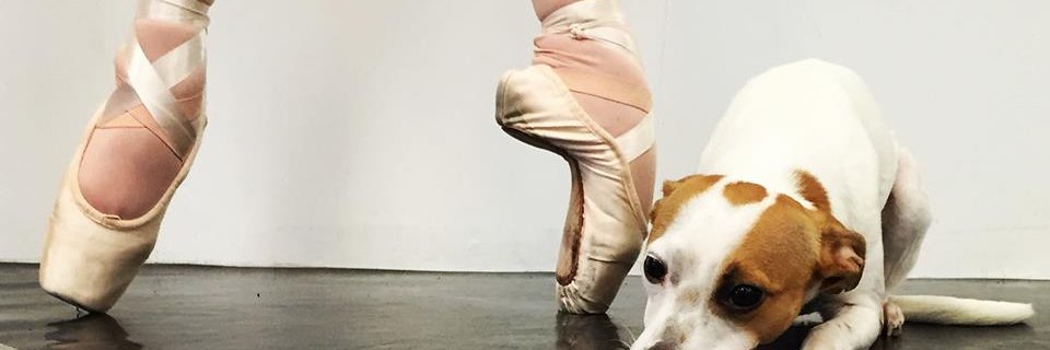 OBA_Dance's profile banner image