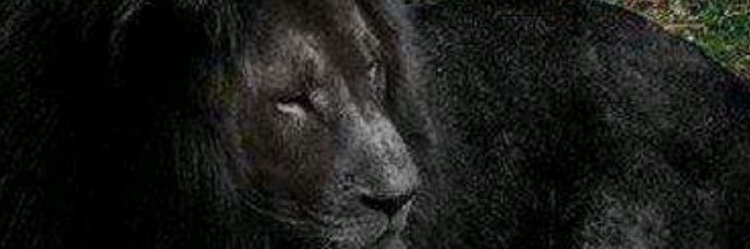 bigcheeze79_tee's profile banner image