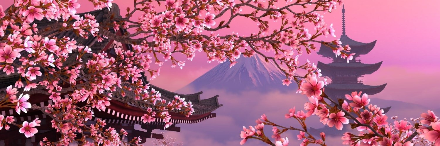 natjau98's profile banner image