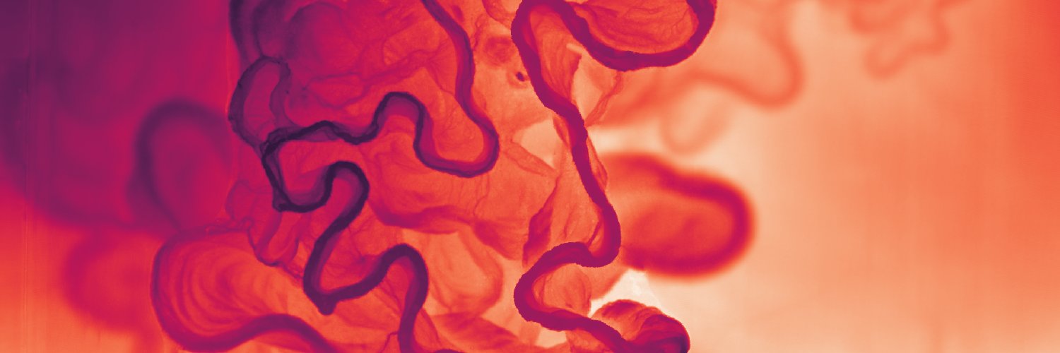 ACCGIS's profile banner image
