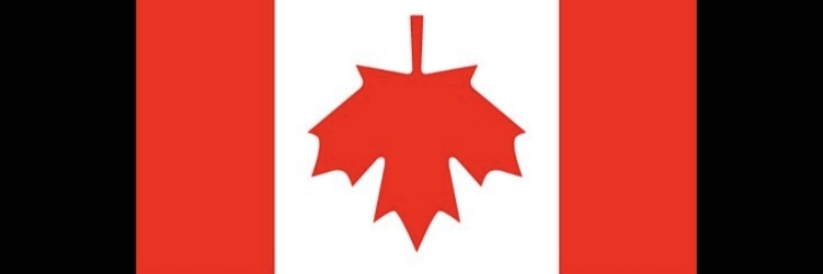 Sean Lay banner