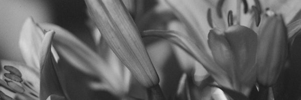 luvaboigrimm Profile Banner