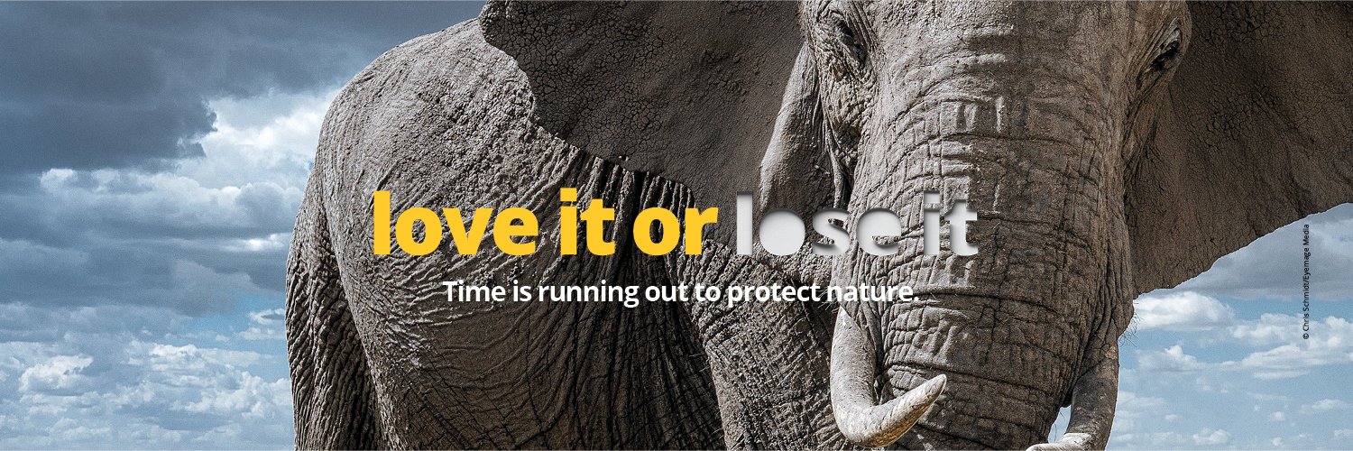 WWF-US Action Team banner