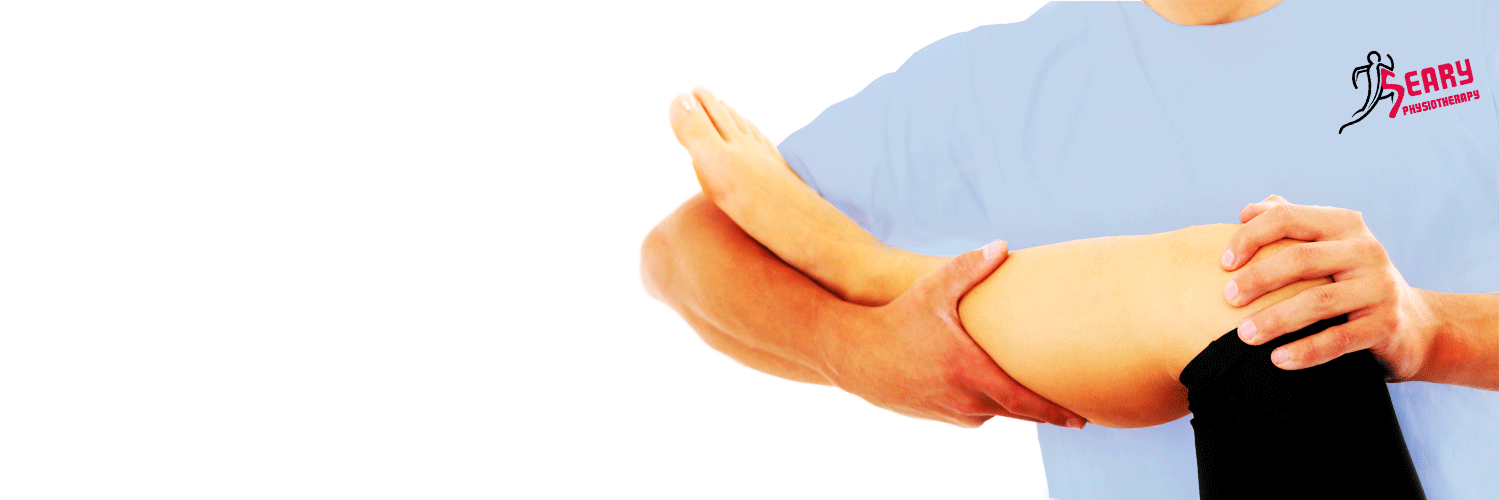 Seary Physiotherapy banner