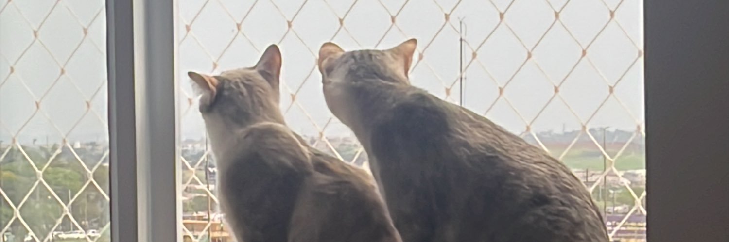 IMPERIAL | yElektra banner