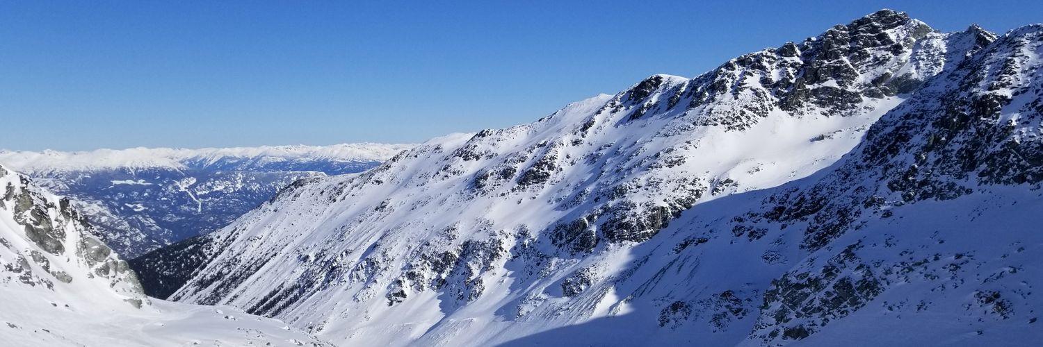 ChrysaD's profile banner image