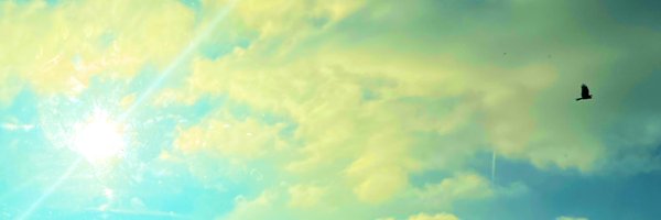 manlikepav Profile Banner