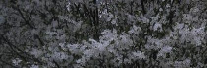 cavabjen's profile banner image