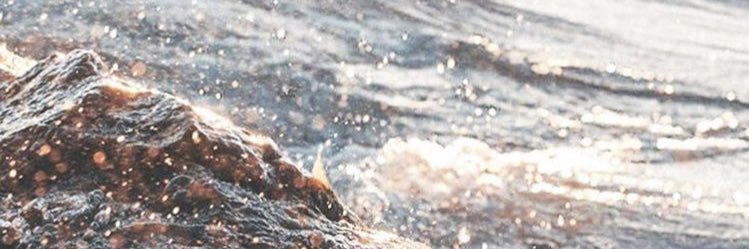 Mariajo_bc's profile banner image