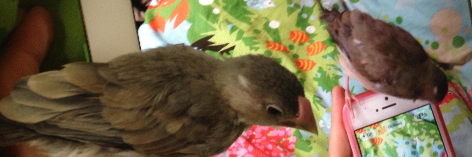 むらさきたらこ ✳︎ ペン（Tomomi）🐧🍵 banner