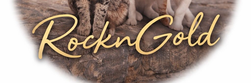RocknGold banner