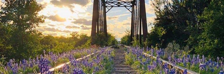 dkintx's profile banner image