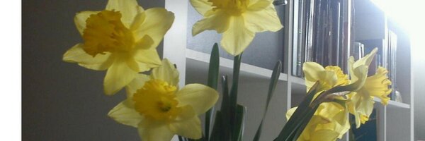 antonioropu Profile Banner