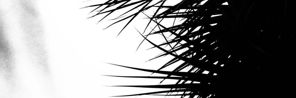 CaseyRyanFunk's profile banner image