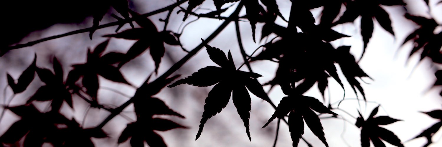 header image
