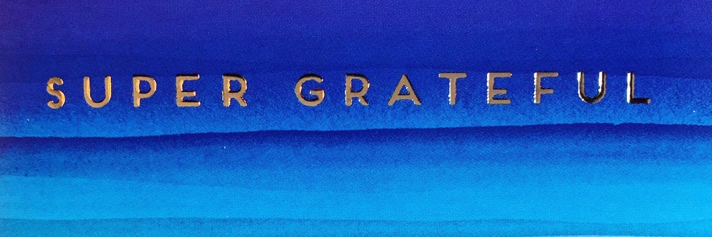 Lucy Chatwin banner